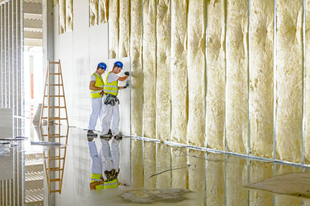 Best Specialized Insulation Services in Helmetta, NJ